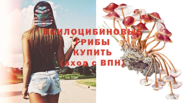 Альфа ПВП Балахна