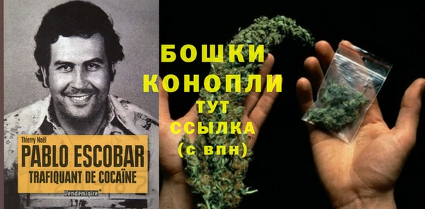 мет Семилуки