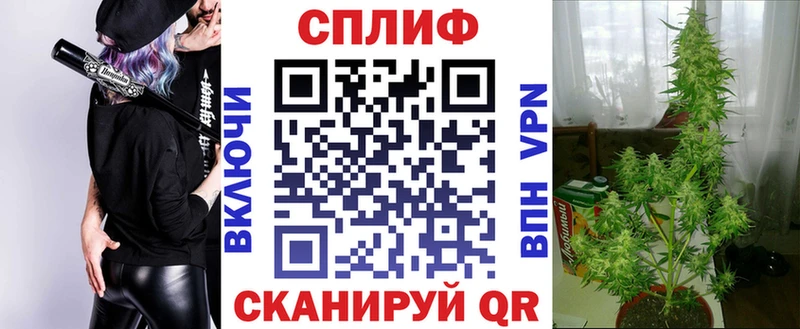 Бошки марихуана индика  hydra ССЫЛКА  Белёв 